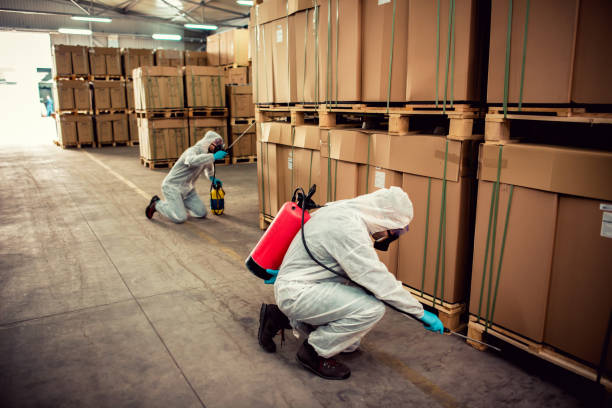 Reliable Waikele, HI Pest Control Solutions
